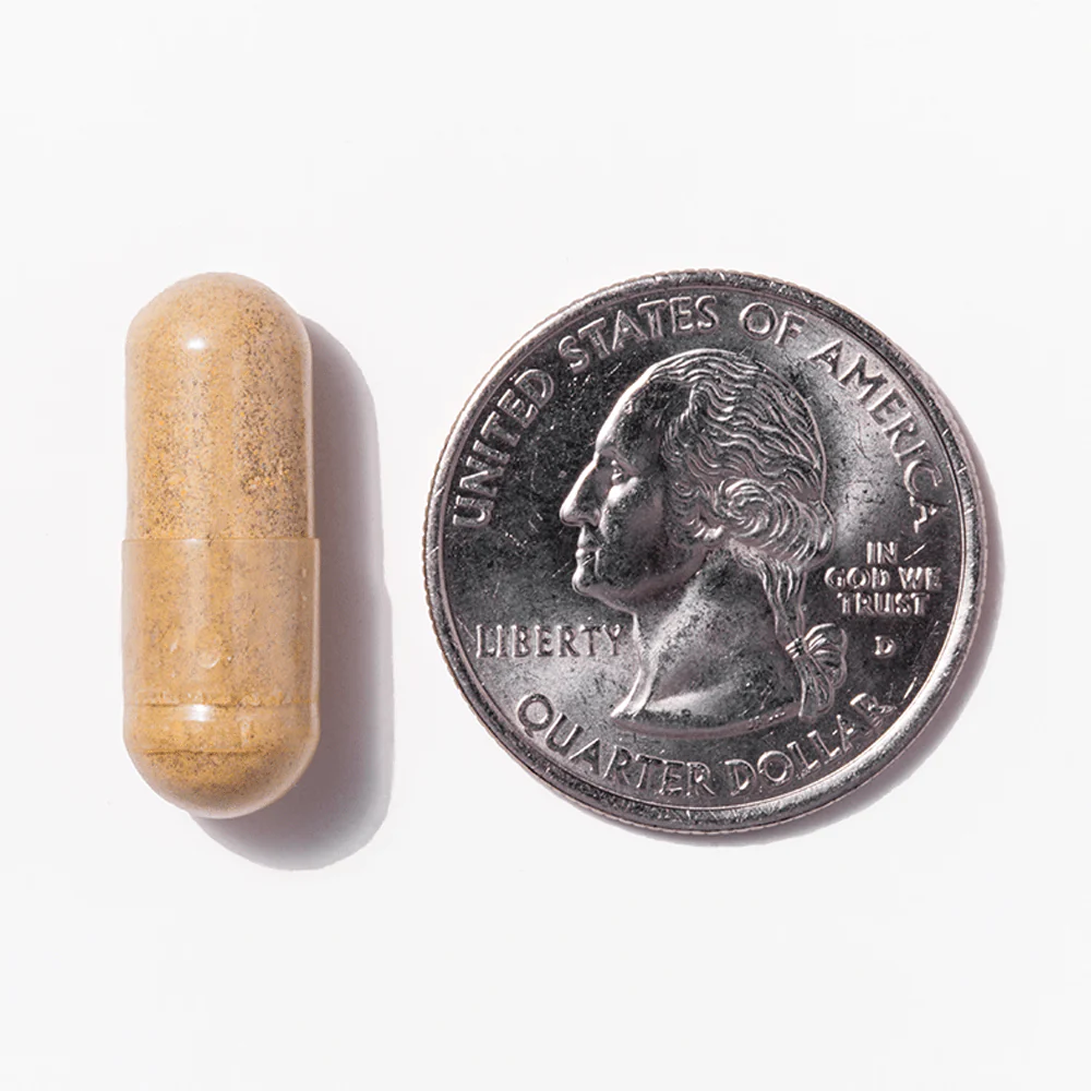 DS/SADI Bariatric Multivitamin | 60 mg Iron - Image 4